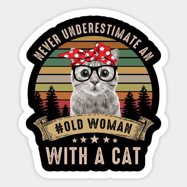 Never Underestimate An Old Woman With A Cat Sticker by AnnetteNortonDesign